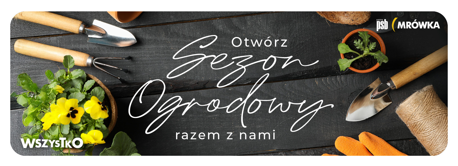 Grupa PSB mrowka PSB Mrówka Czarne