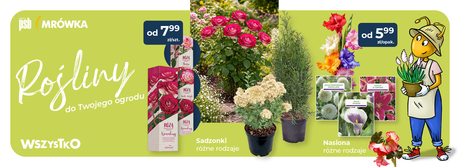 Grupa PSB mrowka PSB Mrówka Czarne